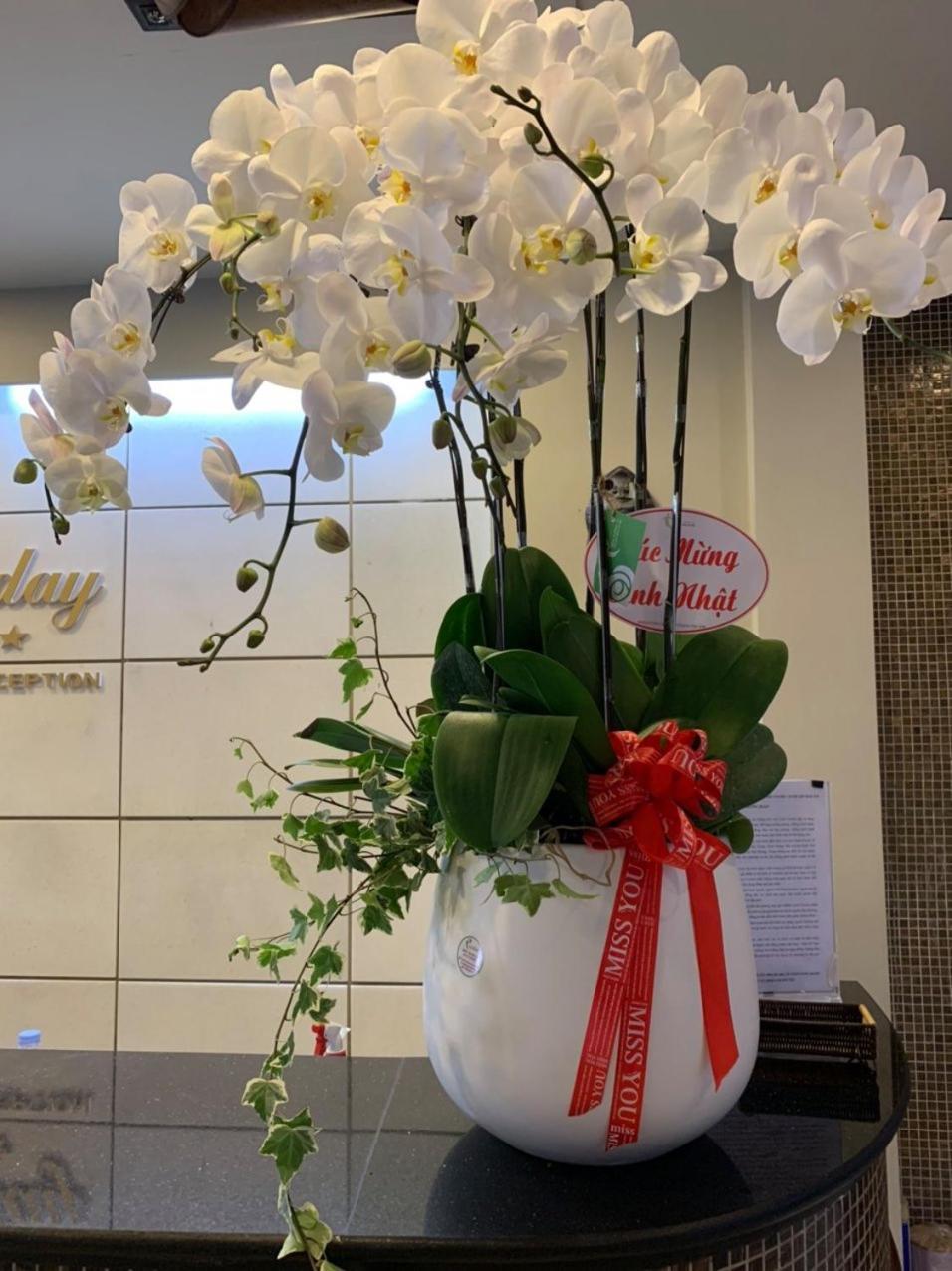 Holiday Hotel Hai Phong Eksteriør billede